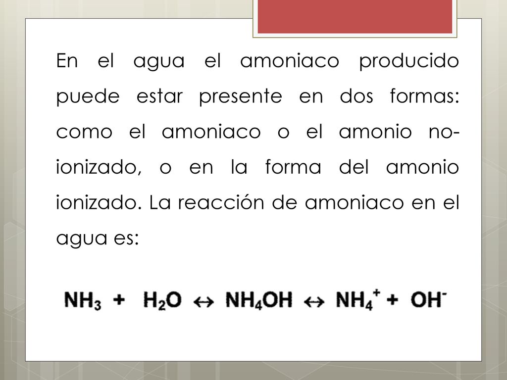 En el agua el amoniaco producido puede estar presente en dos formas: como el amoniaco o el amonio no-ionizado, o en la forma del amonio ionizado.