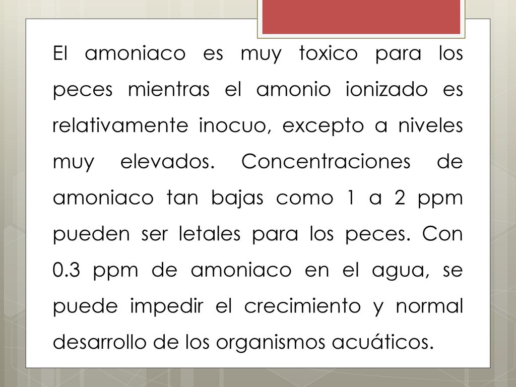 EI amoniaco es muy toxico para los peces mientras el amonio ionizado es relativamente inocuo, excepto a niveles muy elevados.