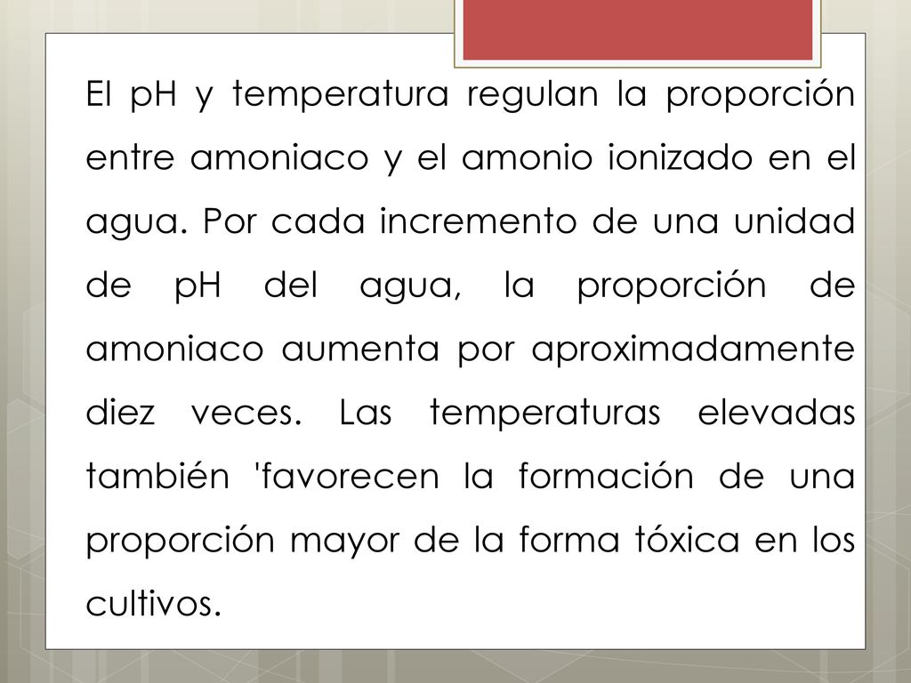 EI pH y temperatura regulan la proporción entre amoniaco y el amonio ionizado en el agua.