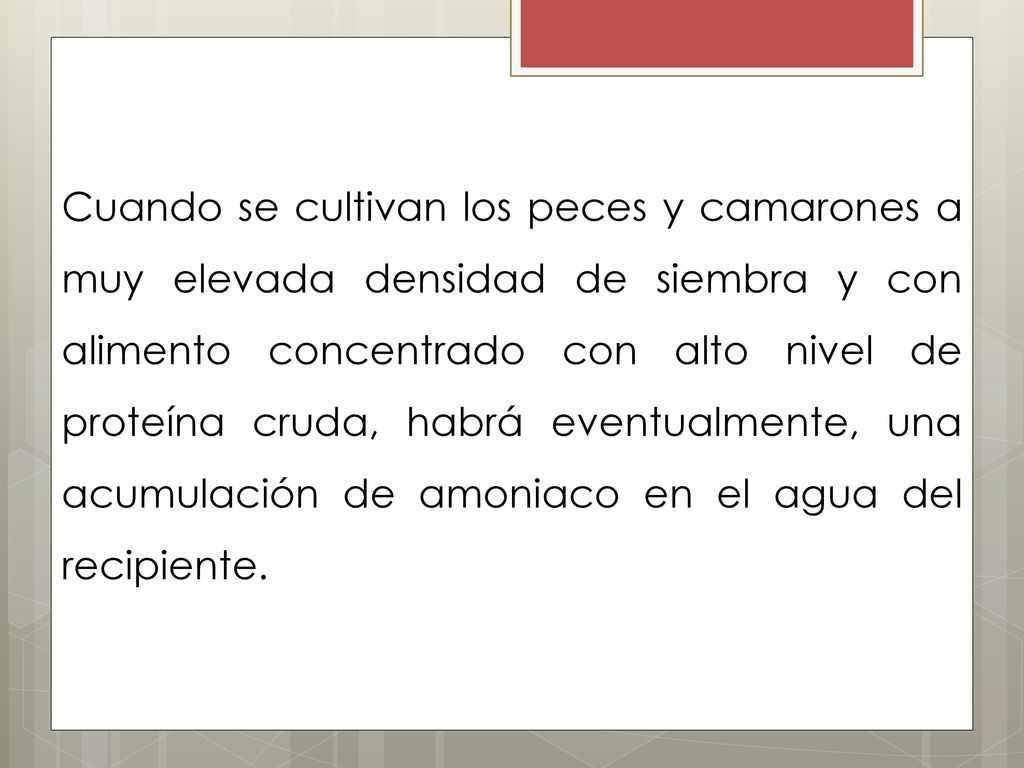 Cuando se cultivan los peces y camarones a muy elevada densidad de siembra y con alimento concentrado con alto nivel de proteína cruda, habrá eventual­mente, una acumulación de amoniaco en el agua del recipiente.