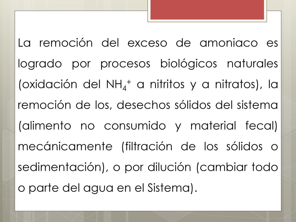 La remoción del exceso de amoniaco es logrado por procesos biológicos naturales (oxidación del NH4+ a nitritos y a nitratos), la remoción de los, desechos sólidos del sistema (alimento no consumido y material fecal) mecánicamente (filtración de los sólidos o sedimentación), o por dilución (cambiar todo o parte del agua en el Sistema).