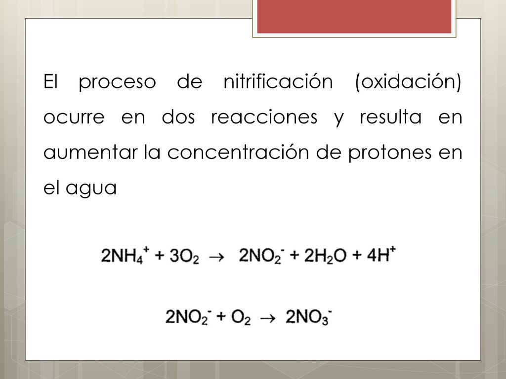 EI proceso de nitrificación (oxidación) ocurre en dos reacciones y resulta en aumentar la concentración de protones en el agua