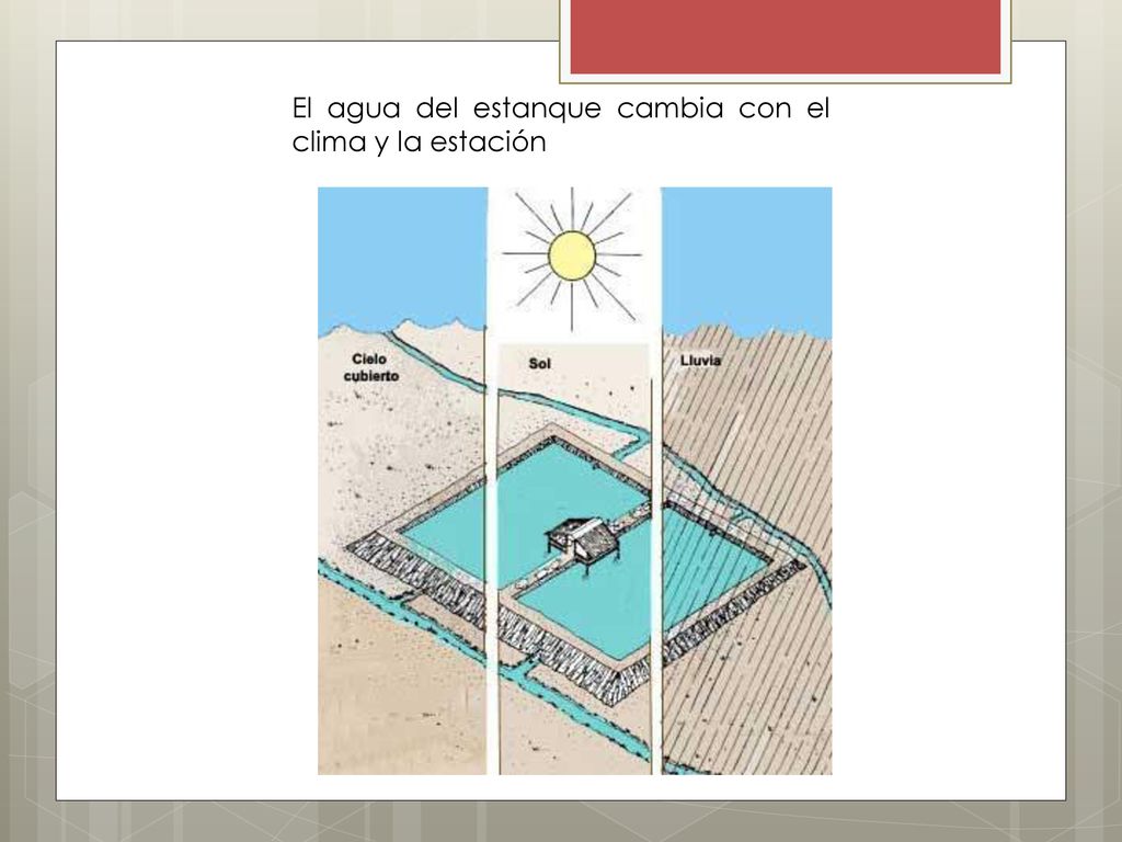 El agua del estanque cambia con el clima y la estación