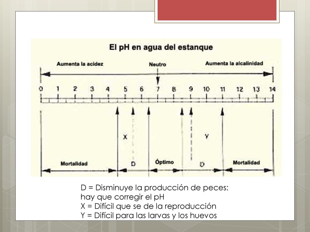 D = Disminuye la producción de peces: hay que corregir el pH