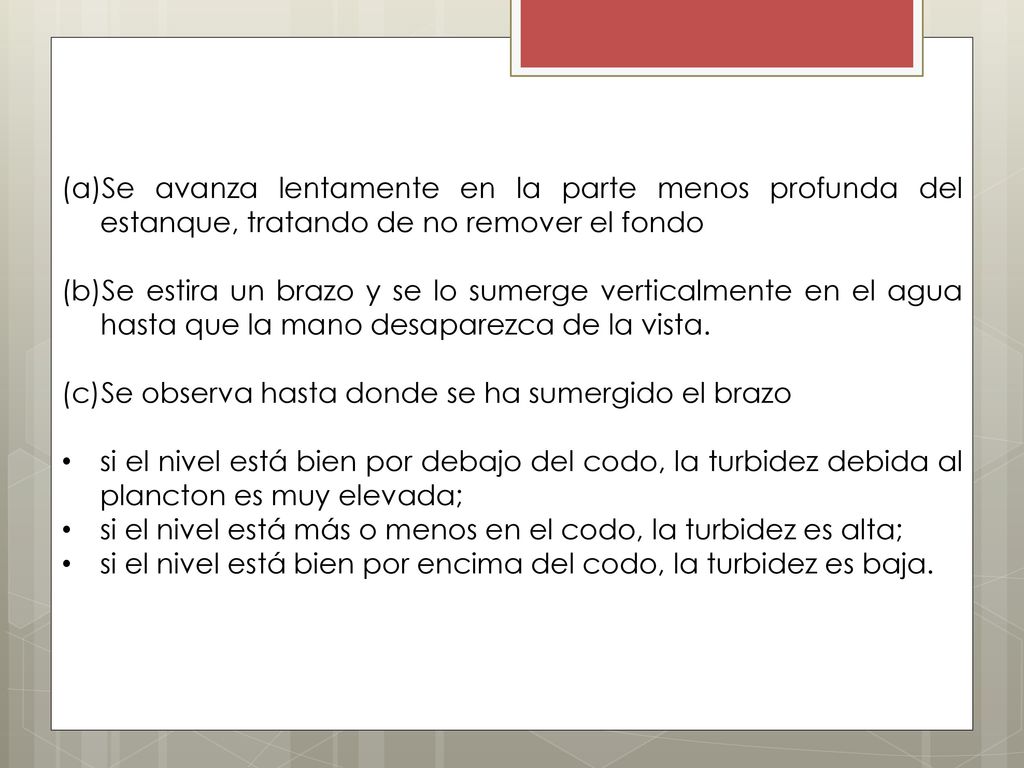 Se avanza lentamente en la parte menos profunda del estanque, tratando de no remover el fondo