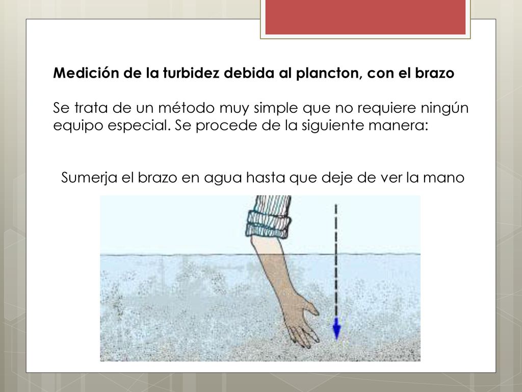 Sumerja el brazo en agua hasta que deje de ver la mano