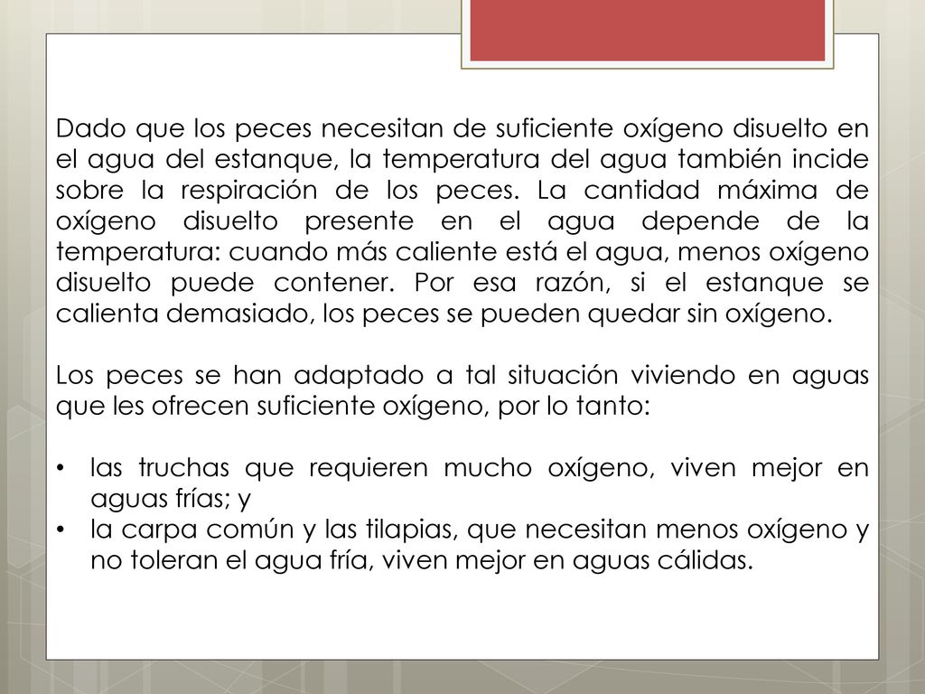 Dado que los peces necesitan de suficiente oxígeno disuelto en el agua del estanque, la temperatura del agua también incide sobre la respiración de los peces. La cantidad máxima de oxígeno disuelto presente en el agua depende de la temperatura: cuando más caliente está el agua, menos oxígeno disuelto puede contener. Por esa razón, si el estanque se calienta demasiado, los peces se pueden quedar sin oxígeno.