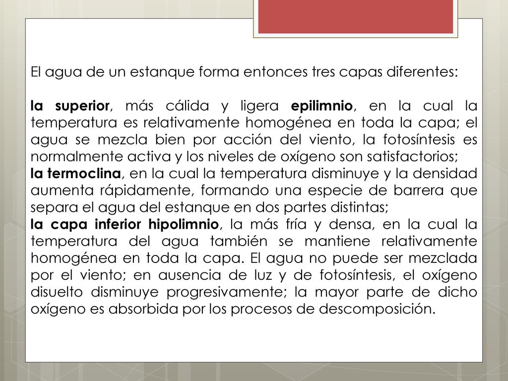 El agua de un estanque forma entonces tres capas diferentes: