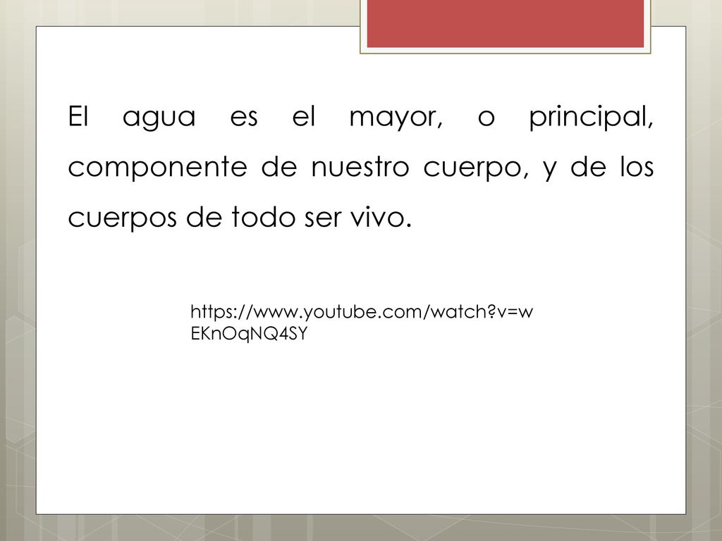 EI agua es el mayor, o principal, componente de nuestro cuerpo, y de los cuerpos de todo ser vivo.