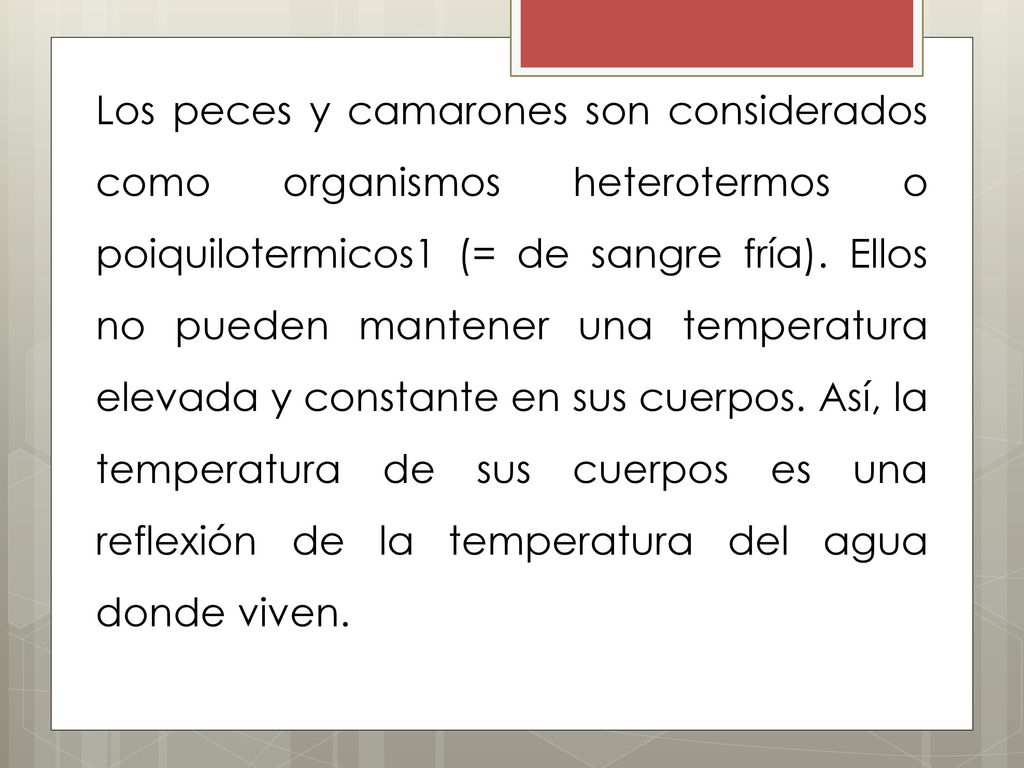 Los peces y camarones son considerados como organismos heterotermos o poiquilotermicos1 (= de sangre fría).