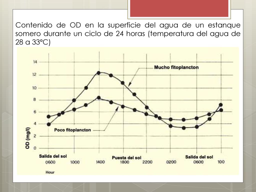 Contenido de OD en la superficie del agua de un estanque somero durante un ciclo de 24 horas (temperatura del agua de 28 a 33ºC)