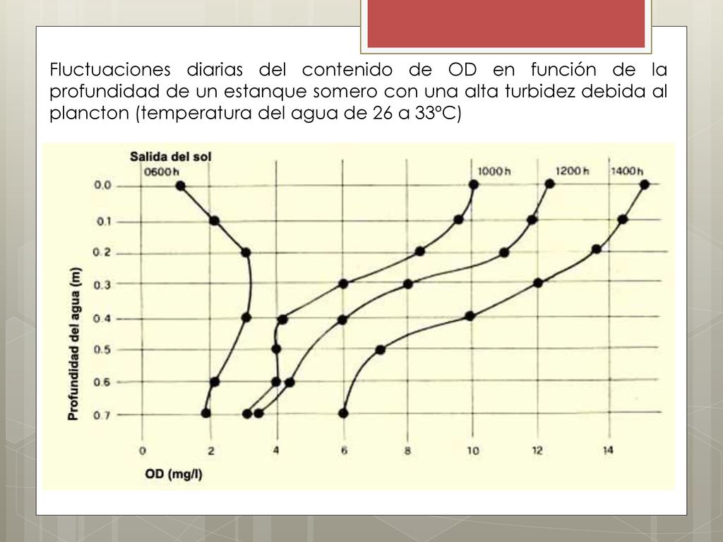 Fluctuaciones diarias del contenido de OD en función de la profundidad de un estanque somero con una alta turbidez debida al plancton (temperatura del agua de 26 a 33ºC)