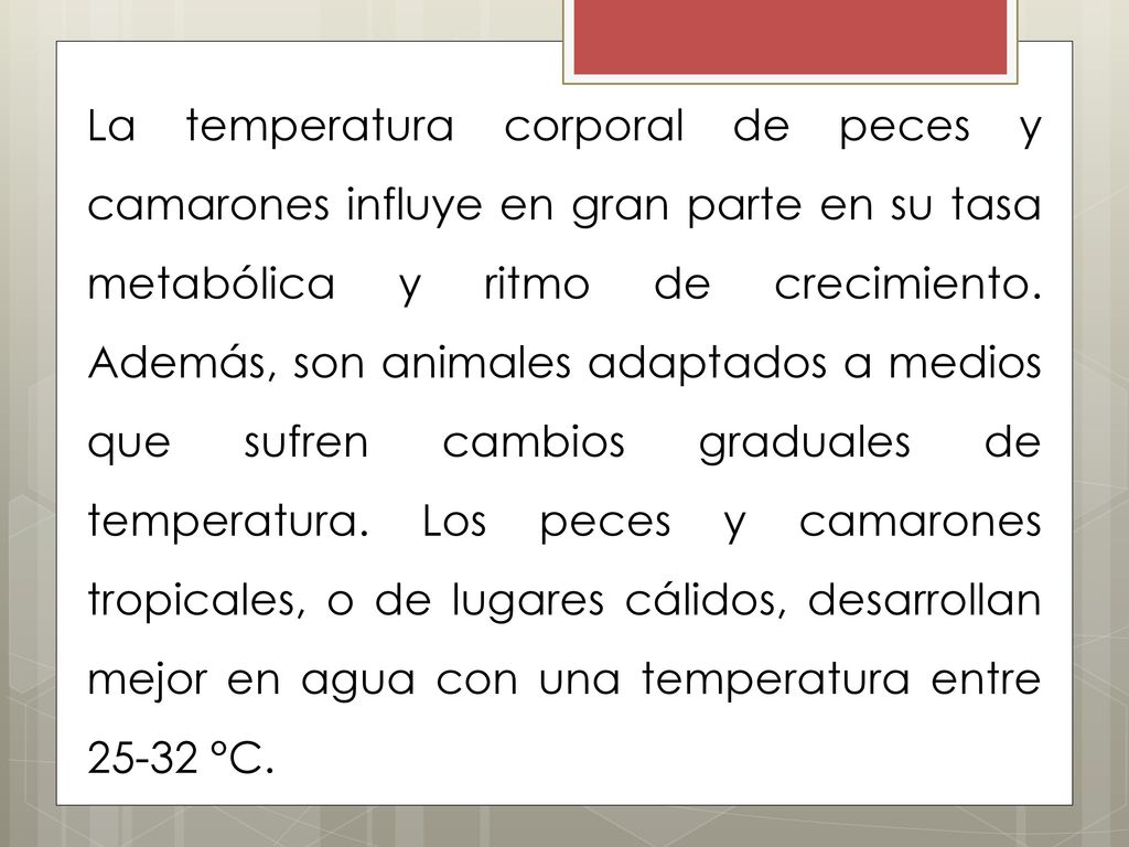 La temperatura corporal de peces y camarones influye en gran parte en su tasa metabólica y ritmo de crecimiento.