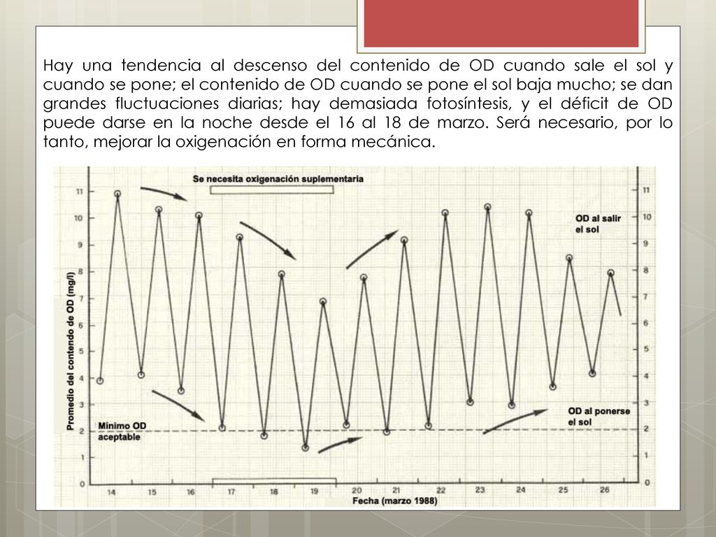 Hay una tendencia al descenso del contenido de OD cuando sale el sol y cuando se pone; el contenido de OD cuando se pone el sol baja mucho; se dan grandes fluctuaciones diarias; hay demasiada fotosíntesis, y el déficit de OD puede darse en la noche desde el 16 al 18 de marzo.