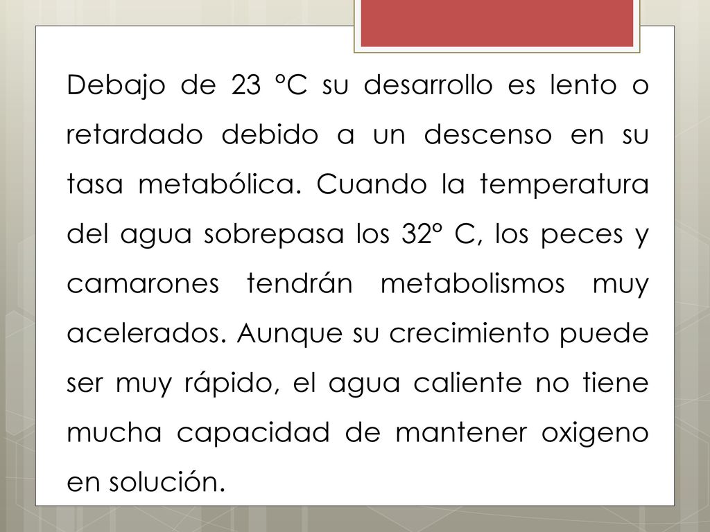 Debajo de 23 °C su desarrollo es lento o retardado debido a un descenso en su tasa metabólica.