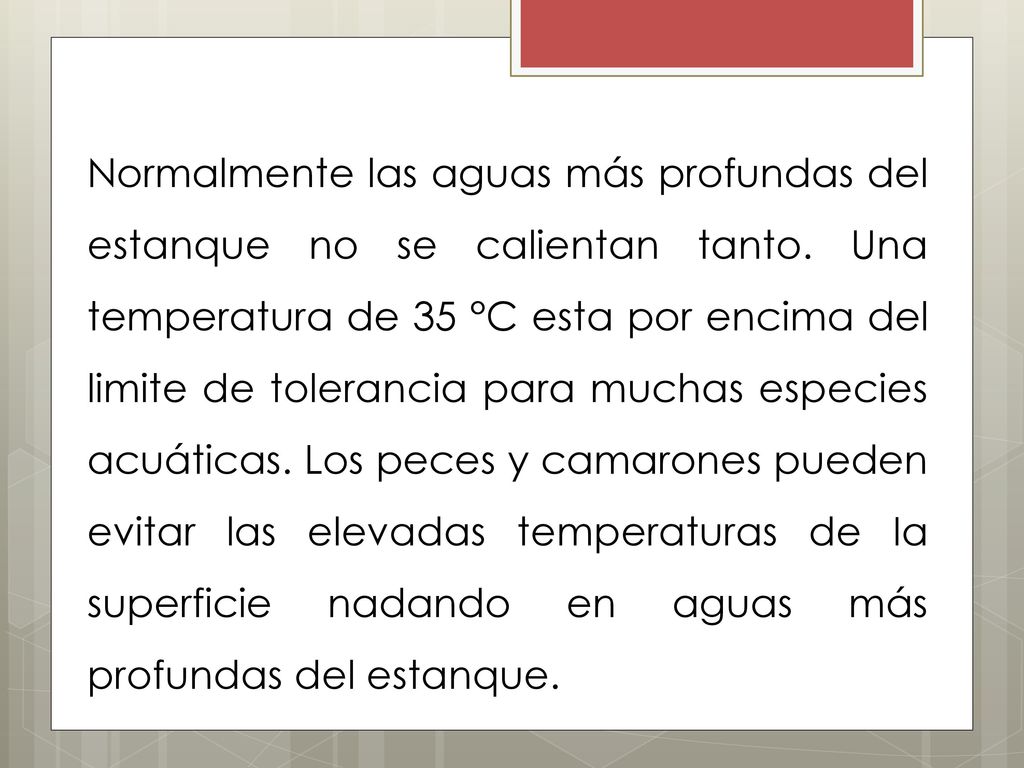 Normalmente las aguas más profundas del estanque no se calientan tanto