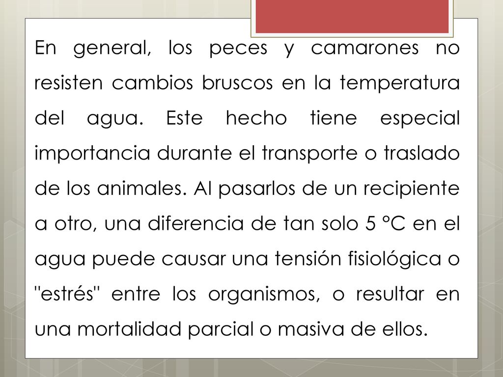 En general, los peces y camarones no resisten cambios bruscos en la temperatura del agua.