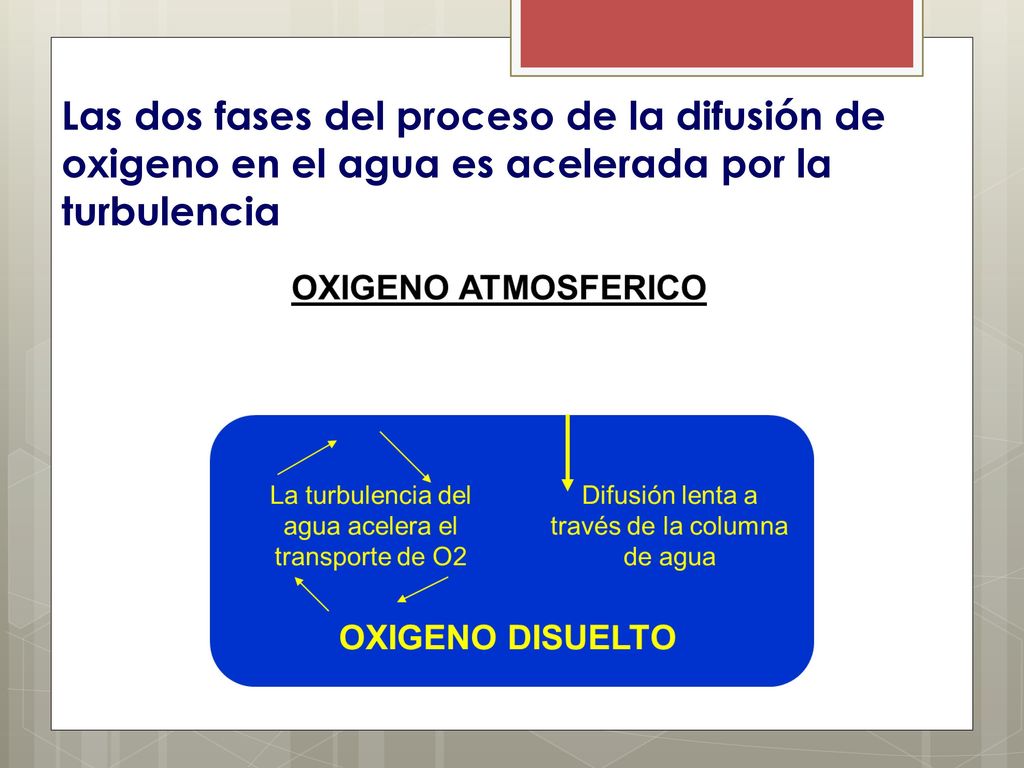 Las dos fases del proceso de la difusión de oxigeno en el agua es acelerada por la turbulencia