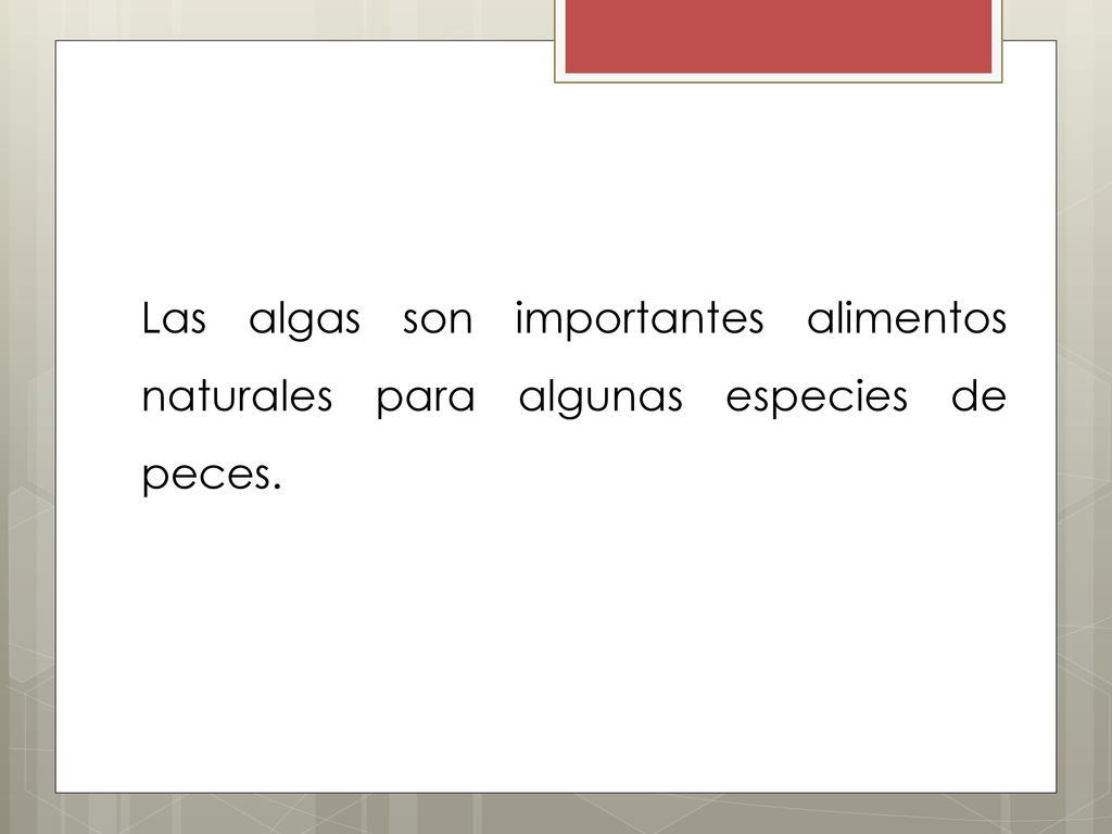 Las algas son importantes alimentos naturales para algunas especies de peces.