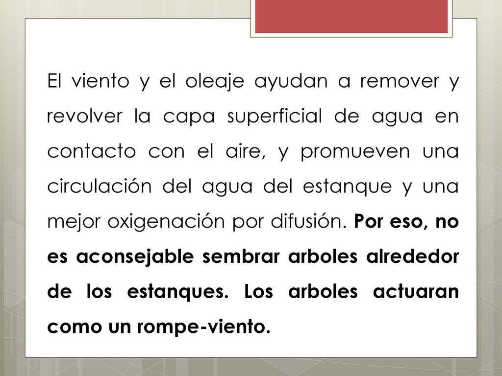 EI viento y el oleaje ayudan a remover y revolver la capa superficial de agua en contacto con el aire, y promueven una circulación del agua del estanque y una mejor oxigenación por difusión.