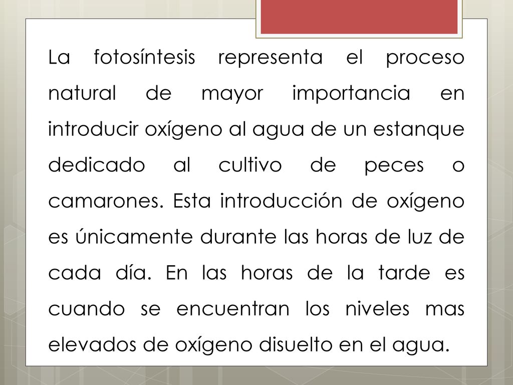 La fotosíntesis representa el proceso natural de mayor importancia en introducir oxígeno al agua de un estanque dedicado al cultivo de peces o camarones.