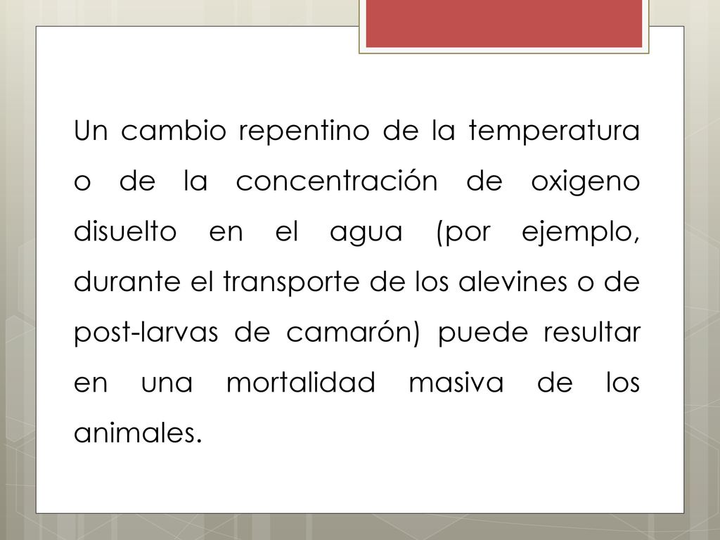 Un cambio repentino de la temperatura o de la concentración de oxigeno disuelto en el agua (por ejemplo, durante el transporte de los alevines o de post-larvas de camarón) puede resultar en una mortalidad masiva de los animales.