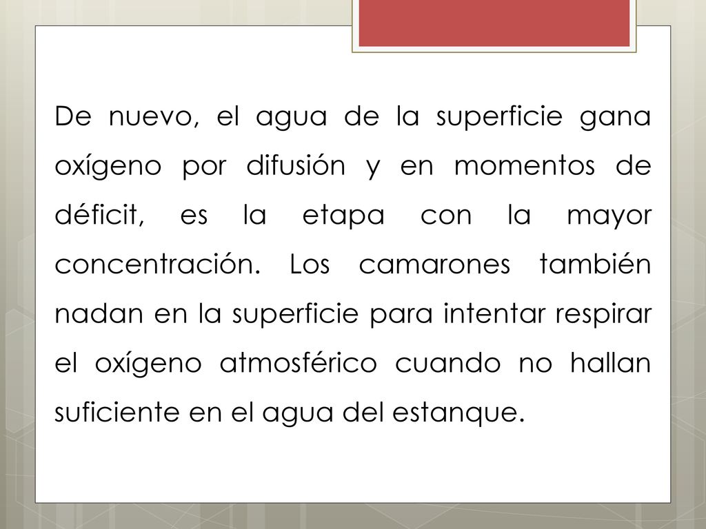 De nuevo, el agua de la superficie gana oxígeno por difusión y en momentos de déficit, es la etapa con la mayor concentración.