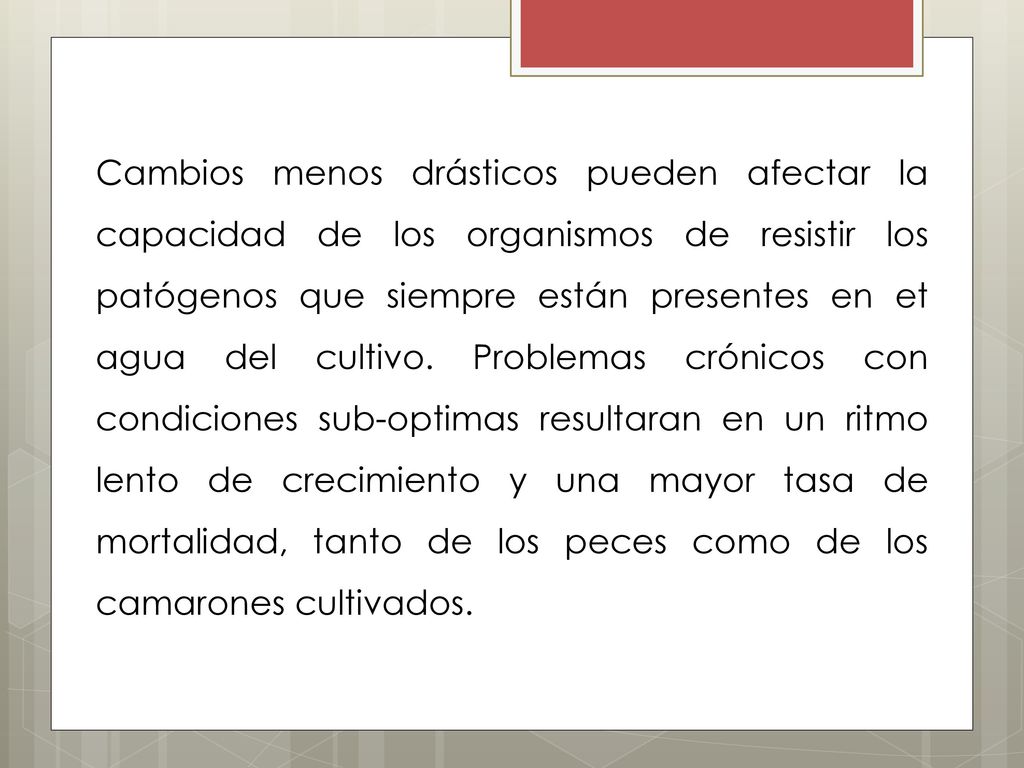 Cambios menos drásticos pueden afectar la capacidad de los organismos de resistir los patógenos que siempre están presentes en et agua del cultivo.