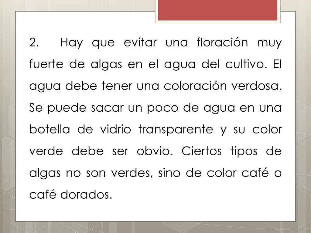 2. Hay que evitar una floración muy fuerte de algas en el agua del cultivo.