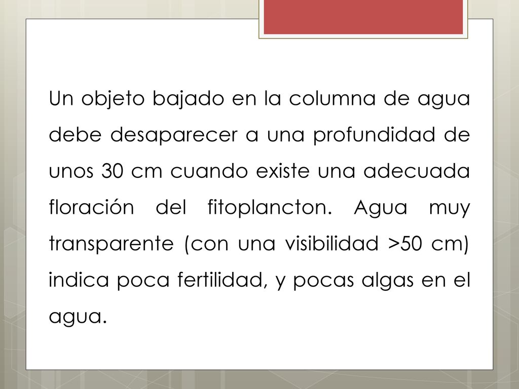 Un objeto bajado en la columna de agua debe desaparecer a una profundidad de unos 30 cm cuando existe una adecuada floración del fitoplancton.
