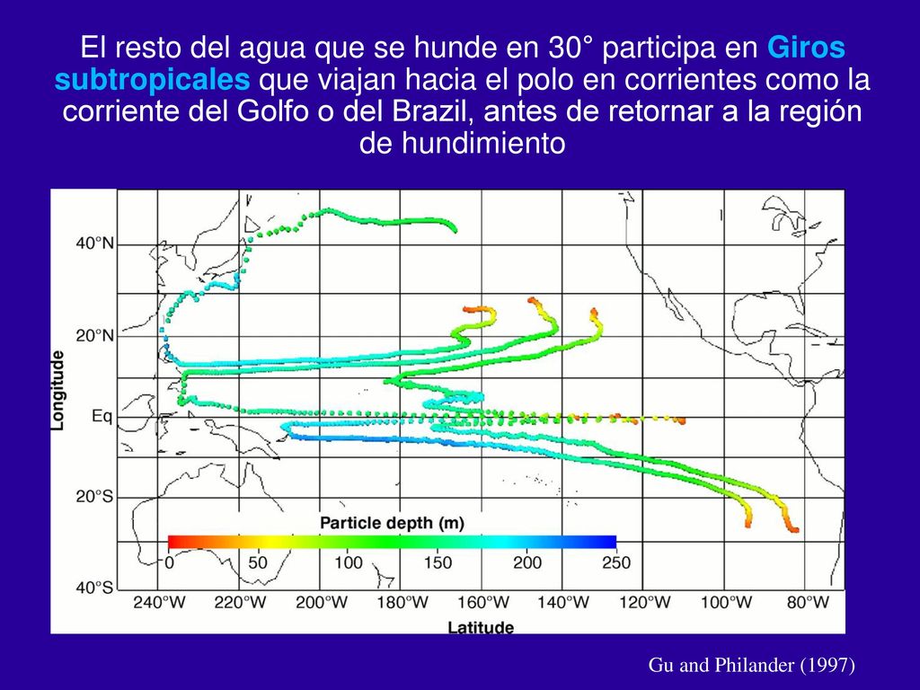 El resto del agua que se hunde en 30° participa en Giros subtropicales que viajan hacia el polo en corrientes como la corriente del Golfo o del Brazil, antes de retornar a la región de hundimiento