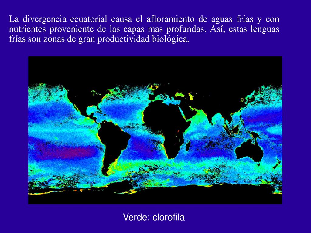 La divergencia ecuatorial causa el afloramiento de aguas frías y con nutrientes proveniente de las capas mas profundas. Así, estas lenguas frías son zonas de gran productividad biológica.