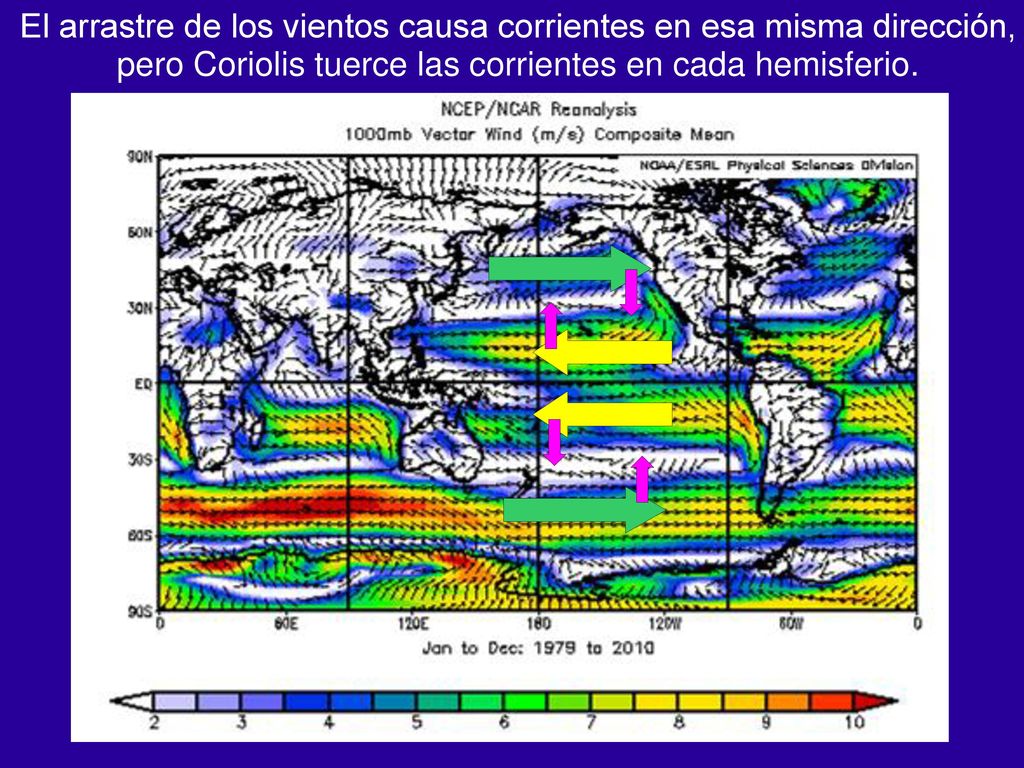 El arrastre de los vientos causa corrientes en esa misma dirección, pero Coriolis tuerce las corrientes en cada hemisferio.