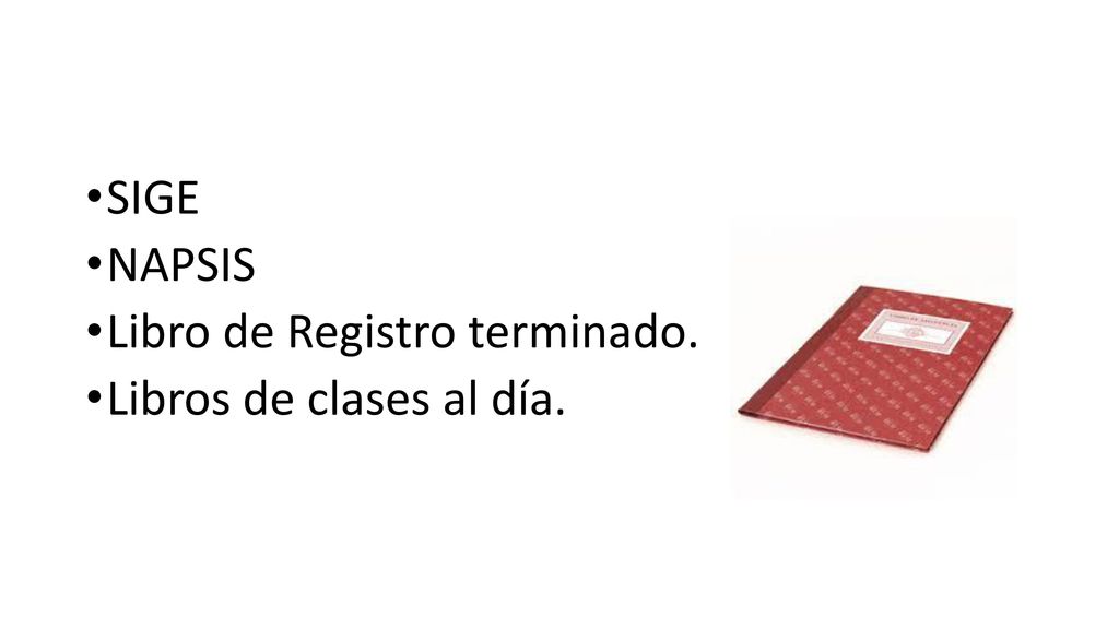 SIGE NAPSIS Libro de Registro terminado. Libros de clases al día.
