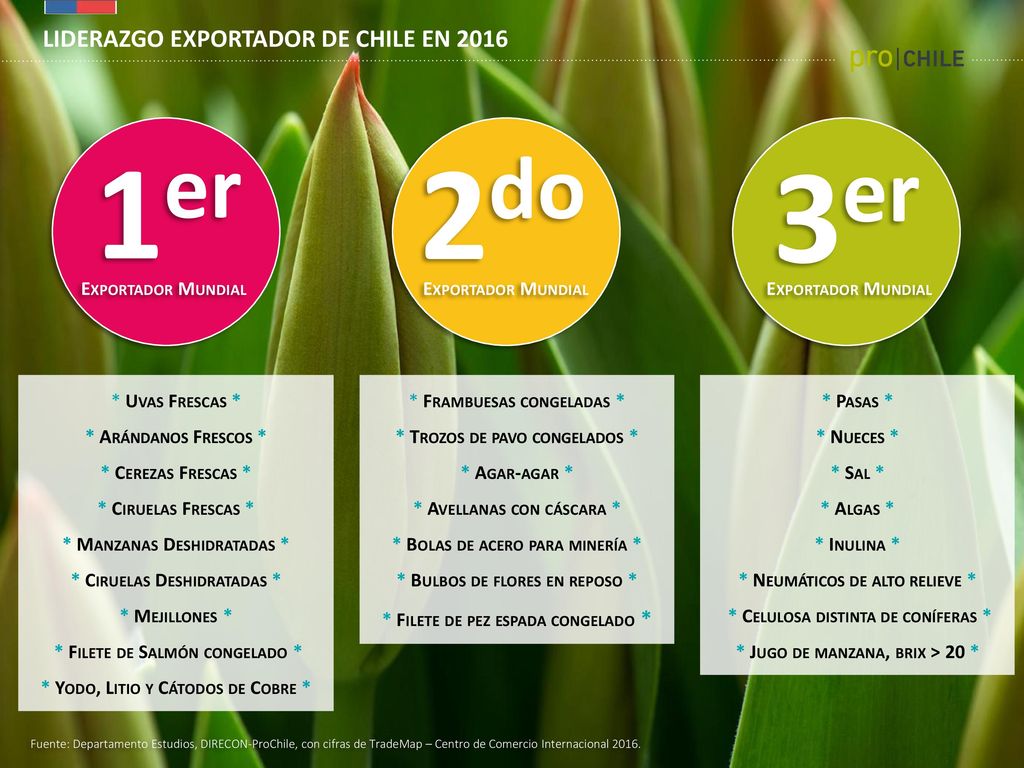 1er 2do 3er LIDERAZGO EXPORTADOR DE CHILE EN 2016 Exportador Mundial