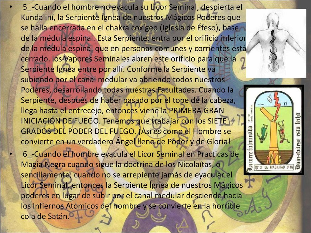 5_-Cuando el hombre no eyacula su Licor Seminal, despierta el Kundaliní, la Serpiente Ígnea de nuestros Mágicos Poderes que se halla encerrada en el chakra coxígeo (Iglesia de Éfeso), base de la médula espinal. Esta Serpiente, entra por el orificio inferior de la médula espinal que en personas comunes y corrientes está cerrado. los Vapores Seminales abren este orificio para que la Serpiente Ígnea entre por allí. Conforme la Serpiente va subiendo por el canal medular va abriendo todos nuestros Poderes, desarrollando todas nuestras Facultades. Cuando la Serpiente, después de haber pasado por el tope de la cabeza, llega hasta el entrecejo, entonces viene la PRIMERA GRAN INICIACIÓN DE FUEGO. Tenemos que trabajar con los SIETE GRADOS DEL PODER DEL FUEGO. ¡Así es como el Hombre se convierte en un verdadero Ángel lleno de Poder y de Gloria!