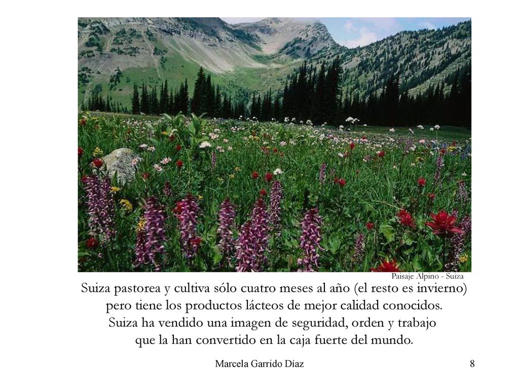 pero tiene los productos lácteos de mejor calidad conocidos.
