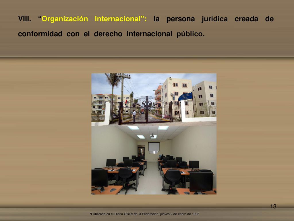 VIII. Organización Internacional : la persona jurídica creada de conformidad con el derecho internacional público.