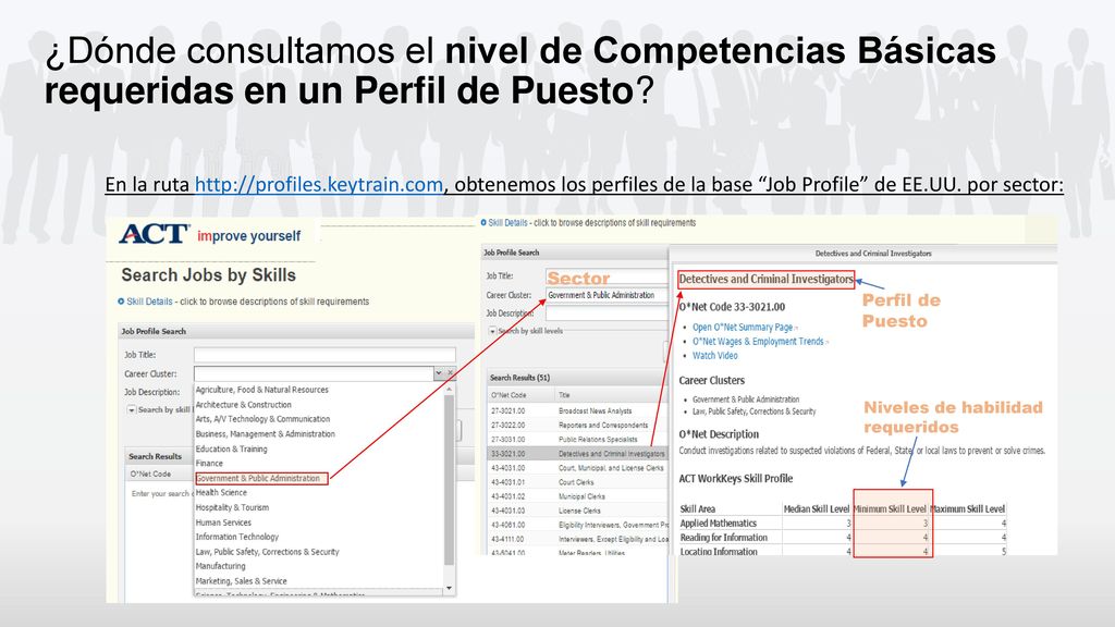 ¿Dónde consultamos el nivel de Competencias Básicas requeridas en un Perfil de Puesto