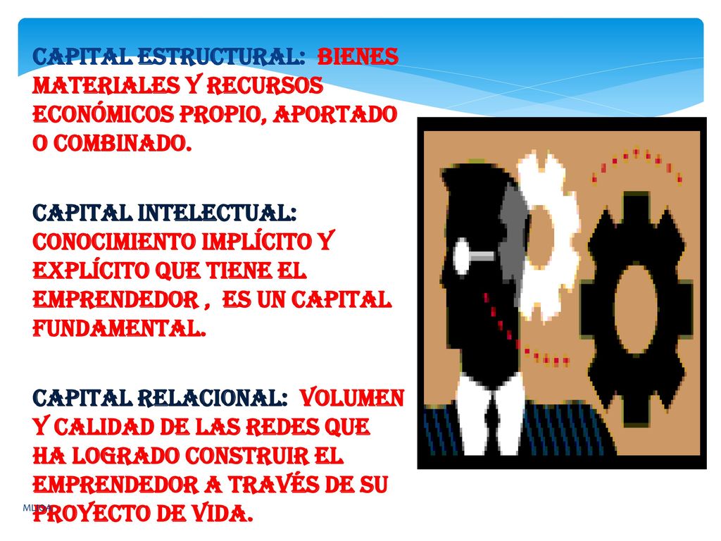Capital estructural: bienes materiales y recursos económicos propio, aportado o combinado.