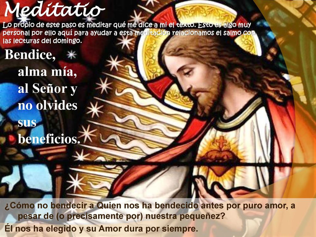 Meditatio Lo propio de este paso es meditar qué me dice a mi el texto