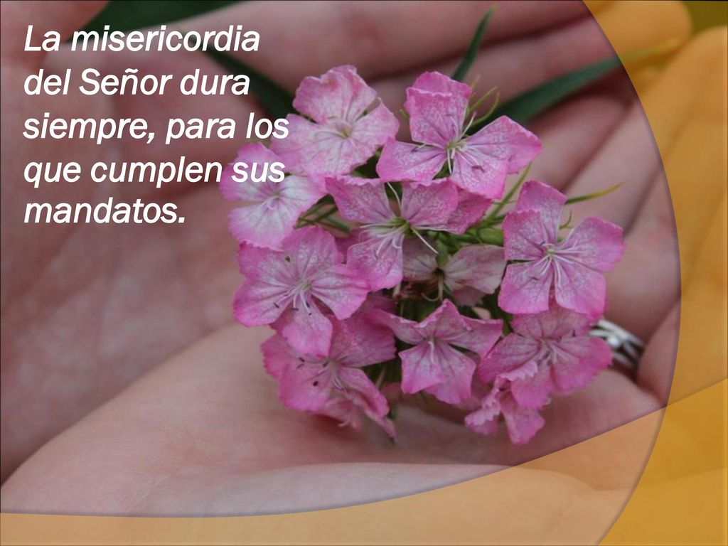 La misericordia del Señor dura siempre, para los que cumplen sus mandatos.