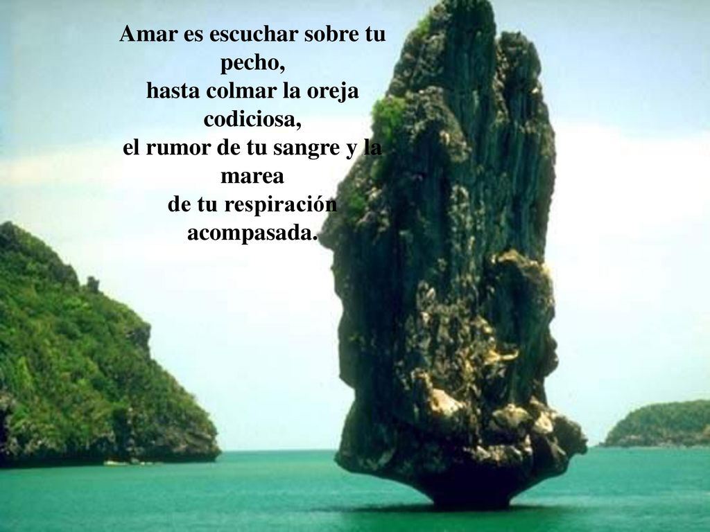 Amar es escuchar sobre tu pecho, hasta colmar la oreja codiciosa, el rumor de tu sangre y la marea de tu respiración acompasada.