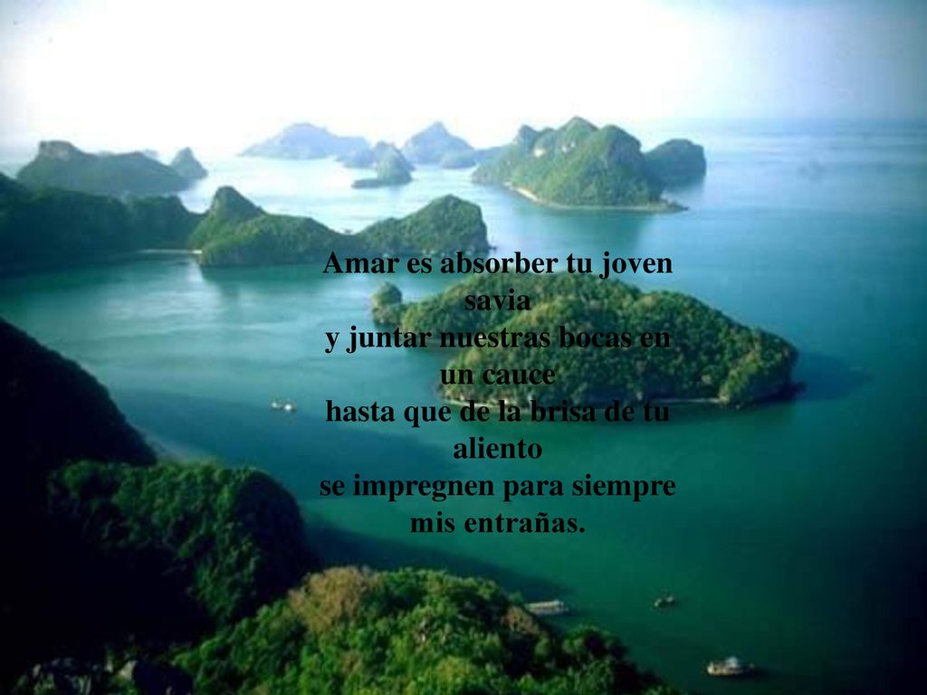 Amar es absorber tu joven savia y juntar nuestras bocas en un cauce hasta que de la brisa de tu aliento se impregnen para siempre mis entrañas.