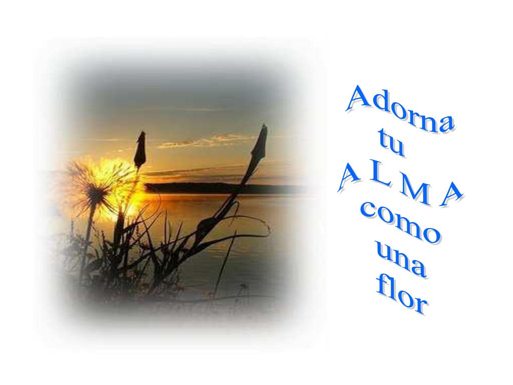 Adorna tu A L M A como una flor