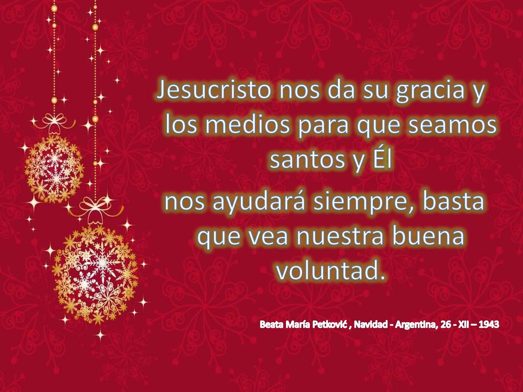Jesucristo nos da su gracia y los medios para que seamos santos y Él