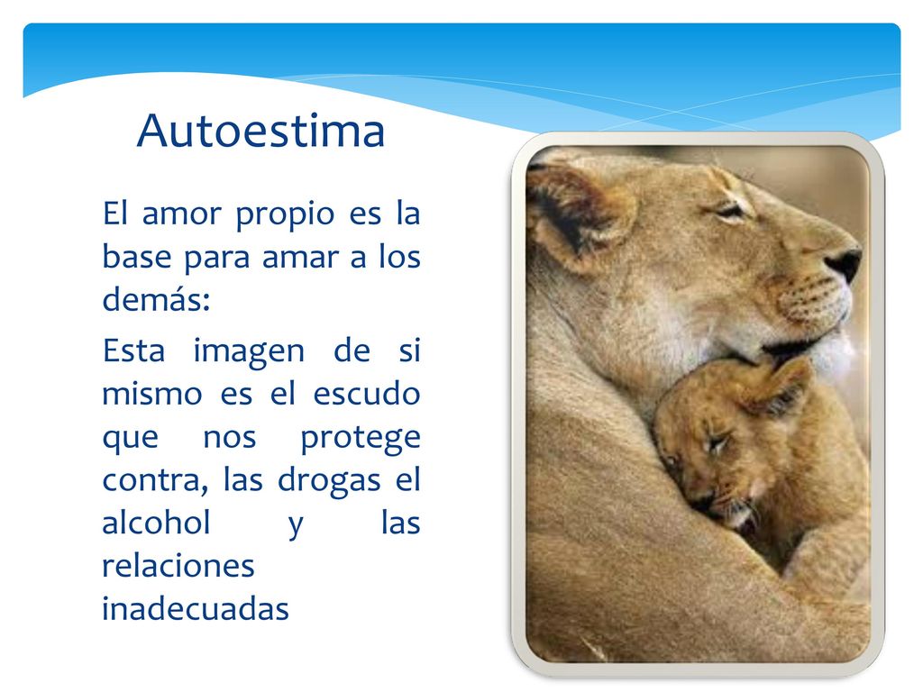 Autoestima El amor propio es la base para amar a los demás: