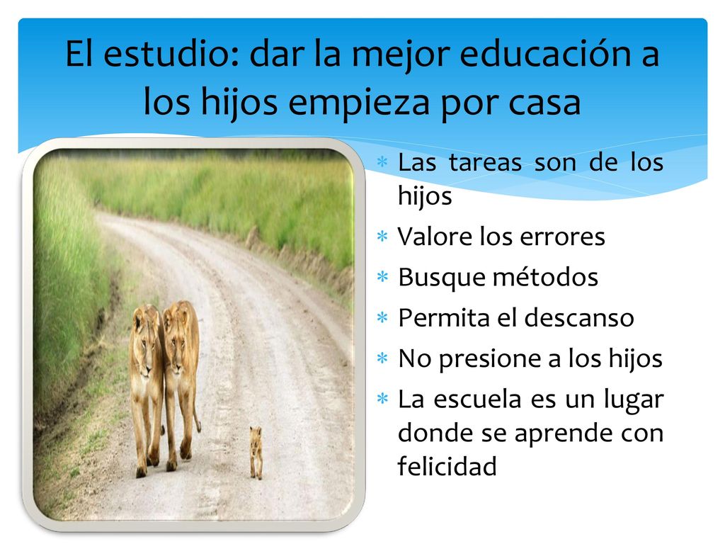 El estudio: dar la mejor educación a los hijos empieza por casa
