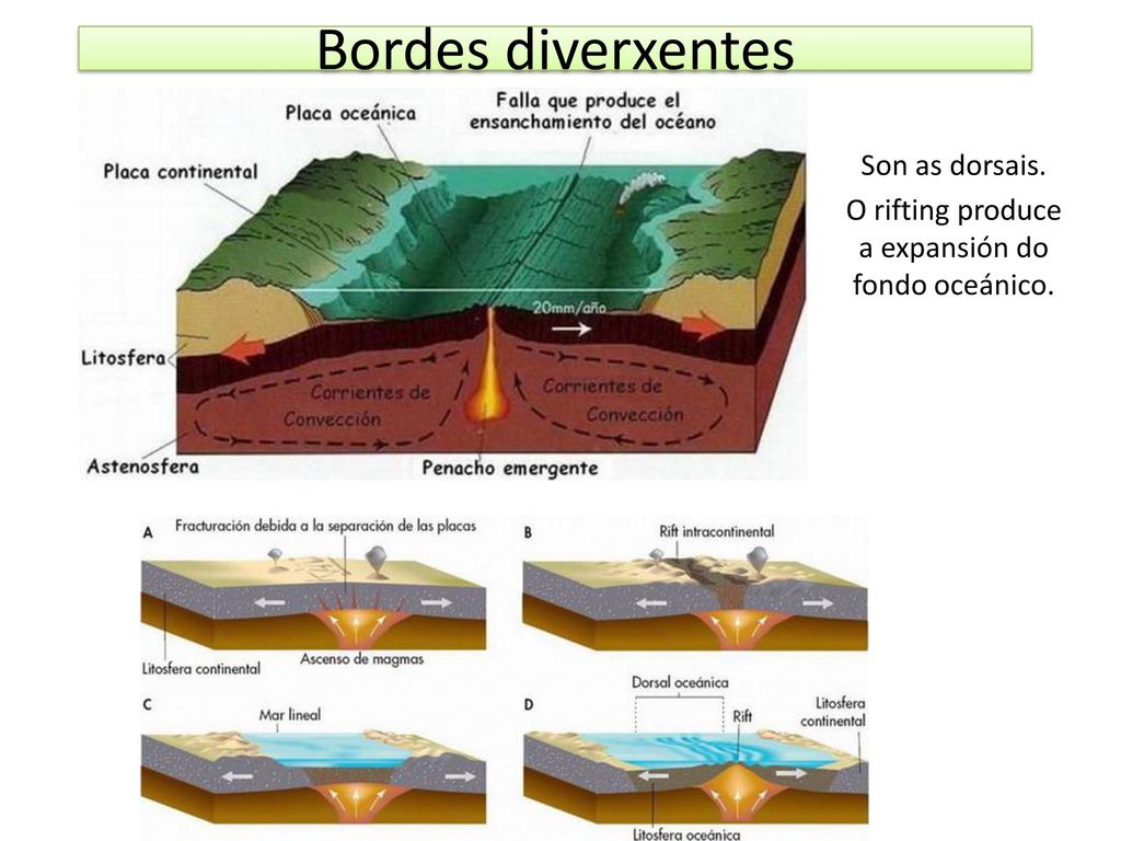 Son as dorsais. O rifting produce a expansión do fondo oceánico.