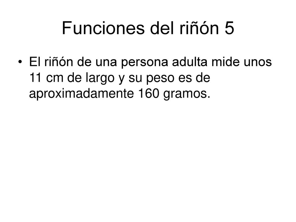 Funciones del riñón 5 El riñón de una persona adulta mide unos 11 cm de largo y su peso es de aproximadamente 160 gramos.